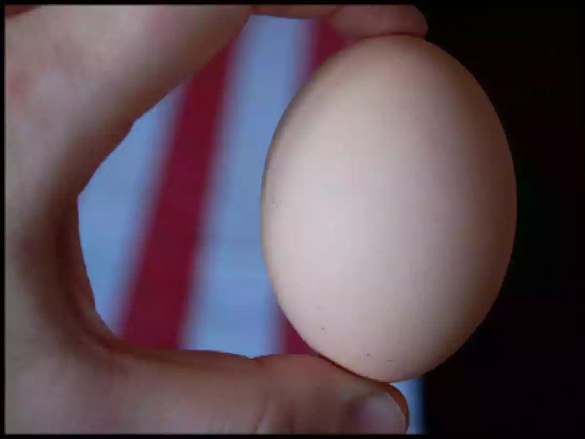 Il pane dolce pasquale - foto 2