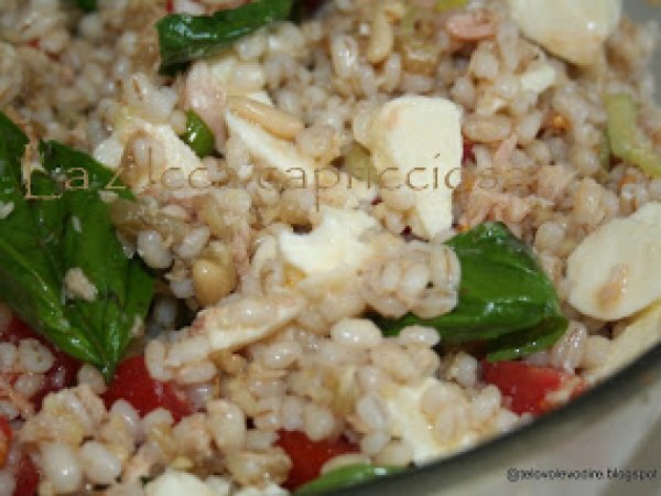 Insalata d'orzo perlato, foto 2