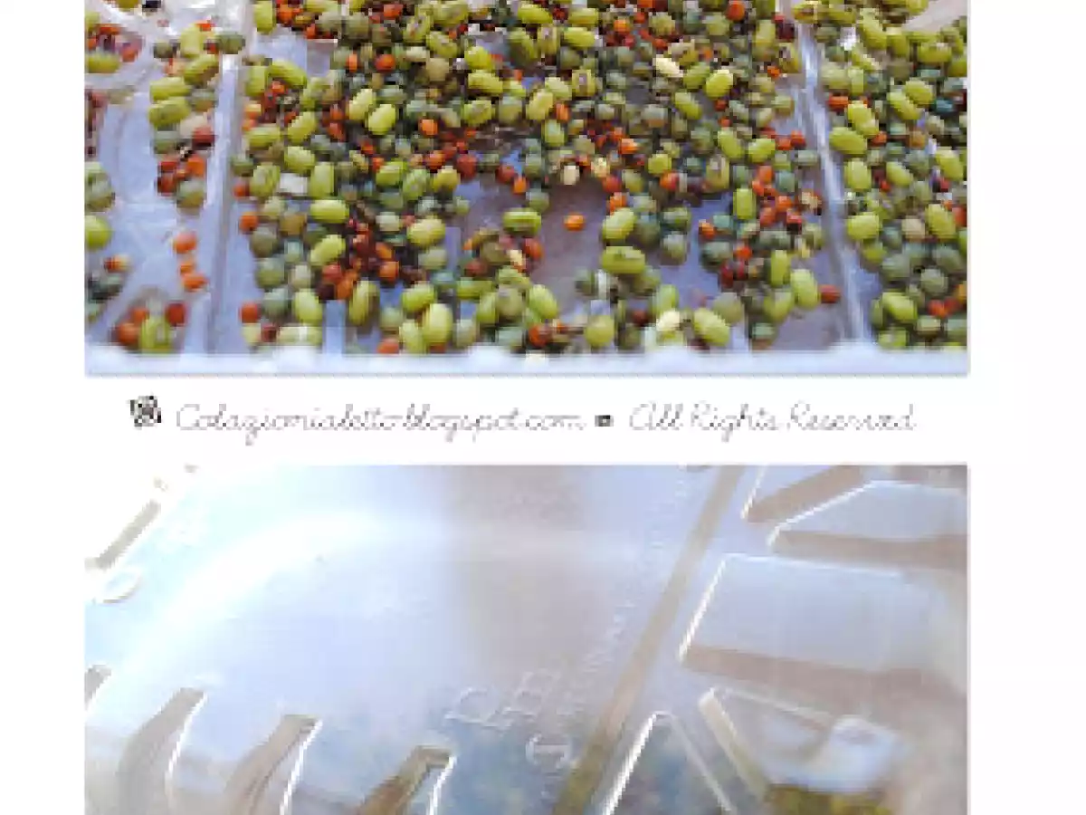 Insalata di carciofi e finocchi con germogli misti - foto 2