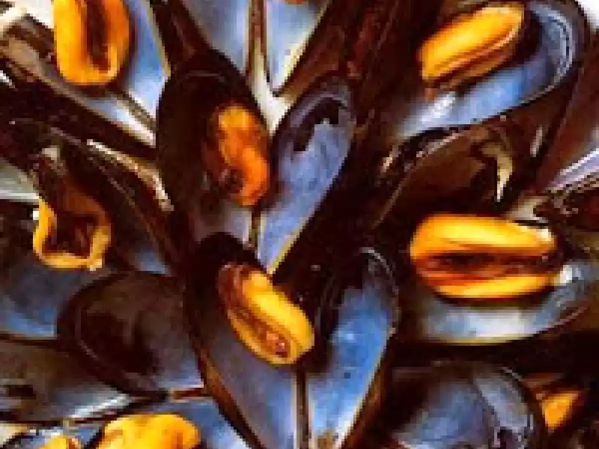 Insalata di cozze, rucola e cannellini