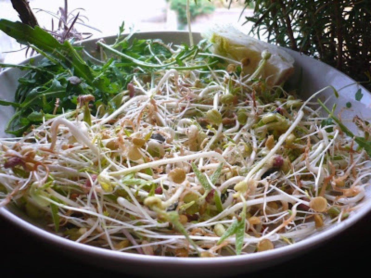 Insalata verde di germogli misti, Rucola e Semi
