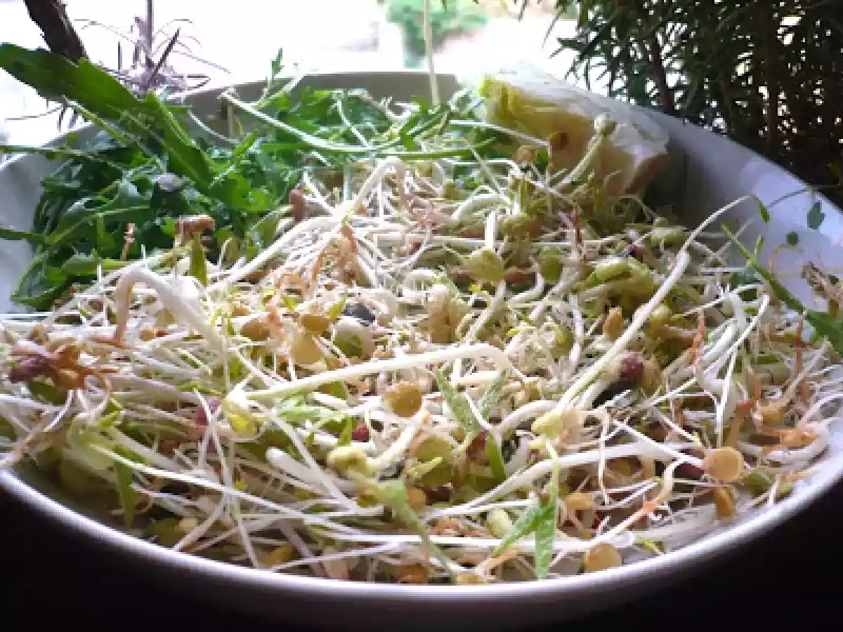 Insalata verde di germogli misti, Rucola e Semi