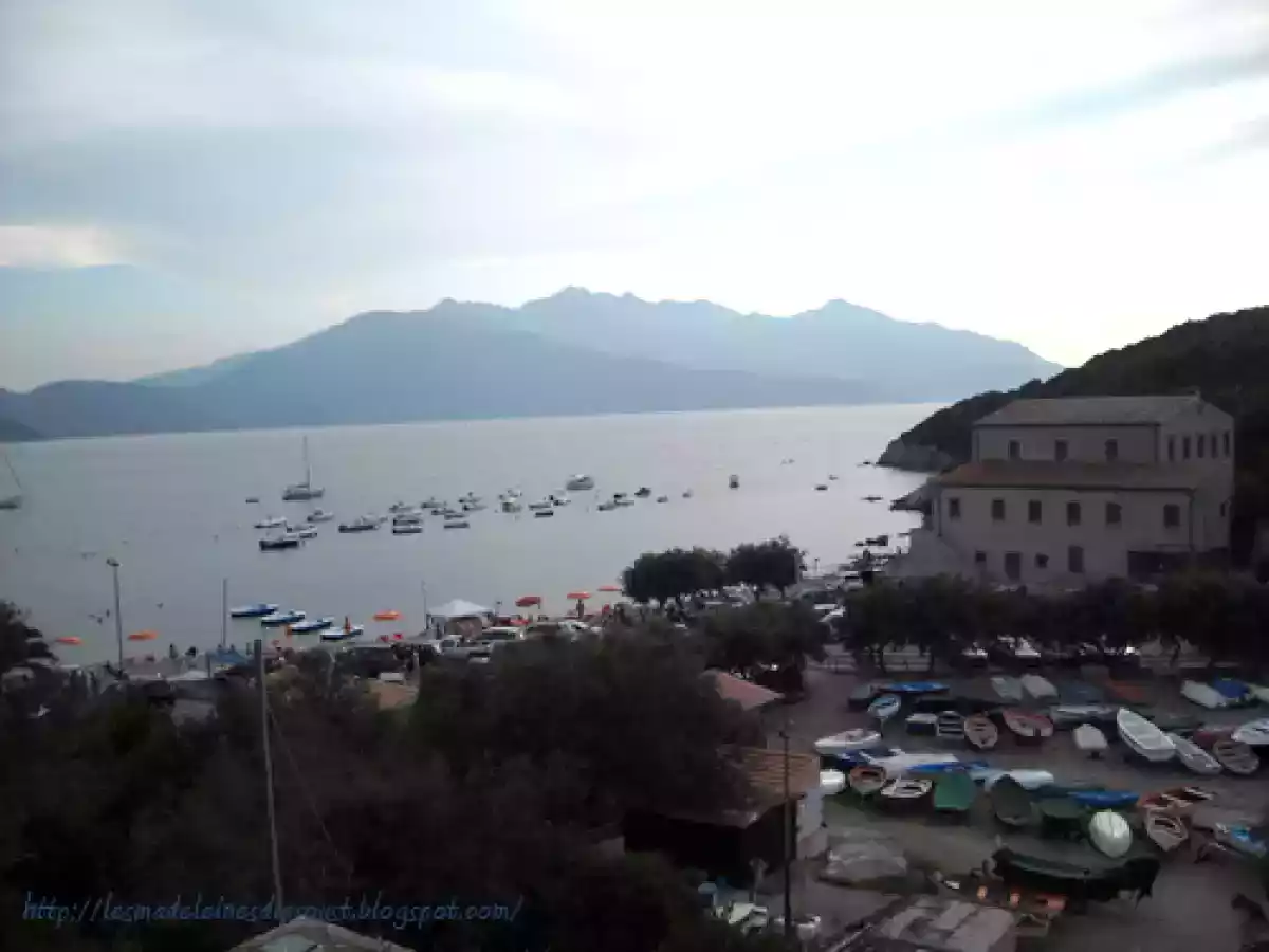 L'Isola d'Elba e Gli spiedini di alici. - foto 2