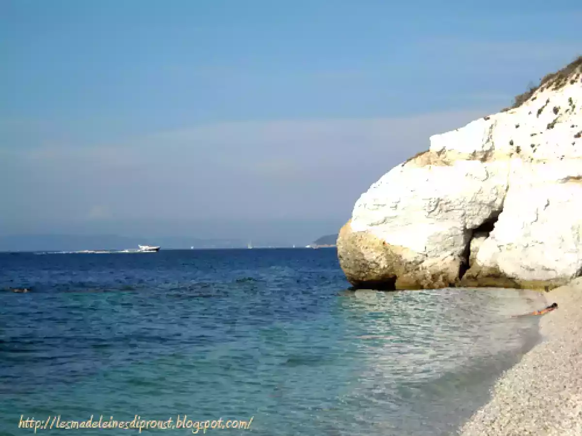 L'Isola d'Elba e Gli spiedini di alici. - foto 3