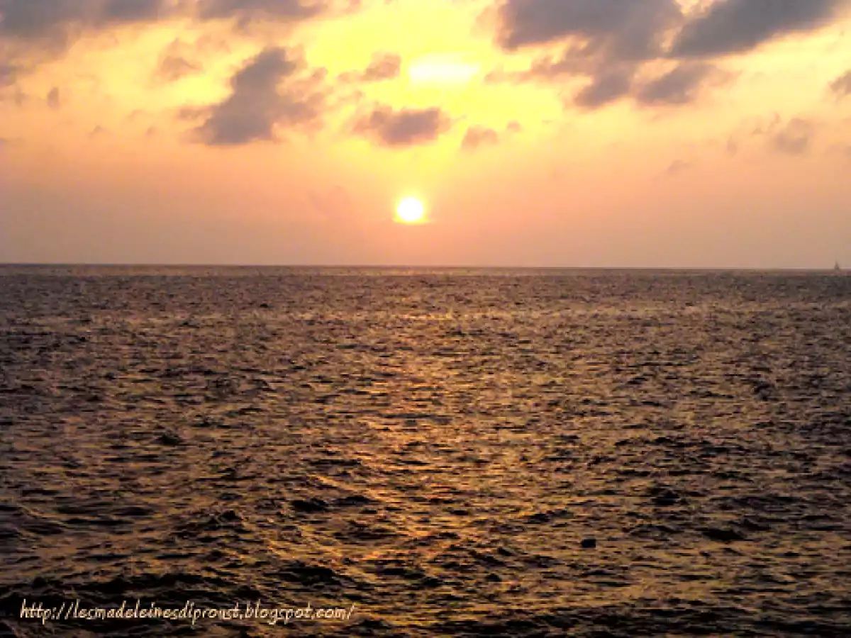 L'Isola d'Elba e Gli spiedini di alici. - foto 4