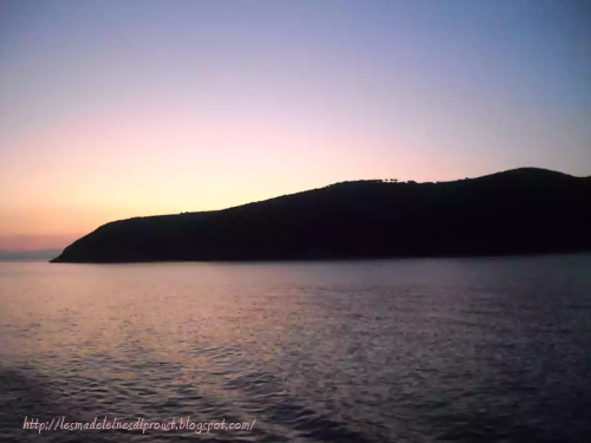 L'Isola d'Elba e Gli spiedini di alici. - foto 5