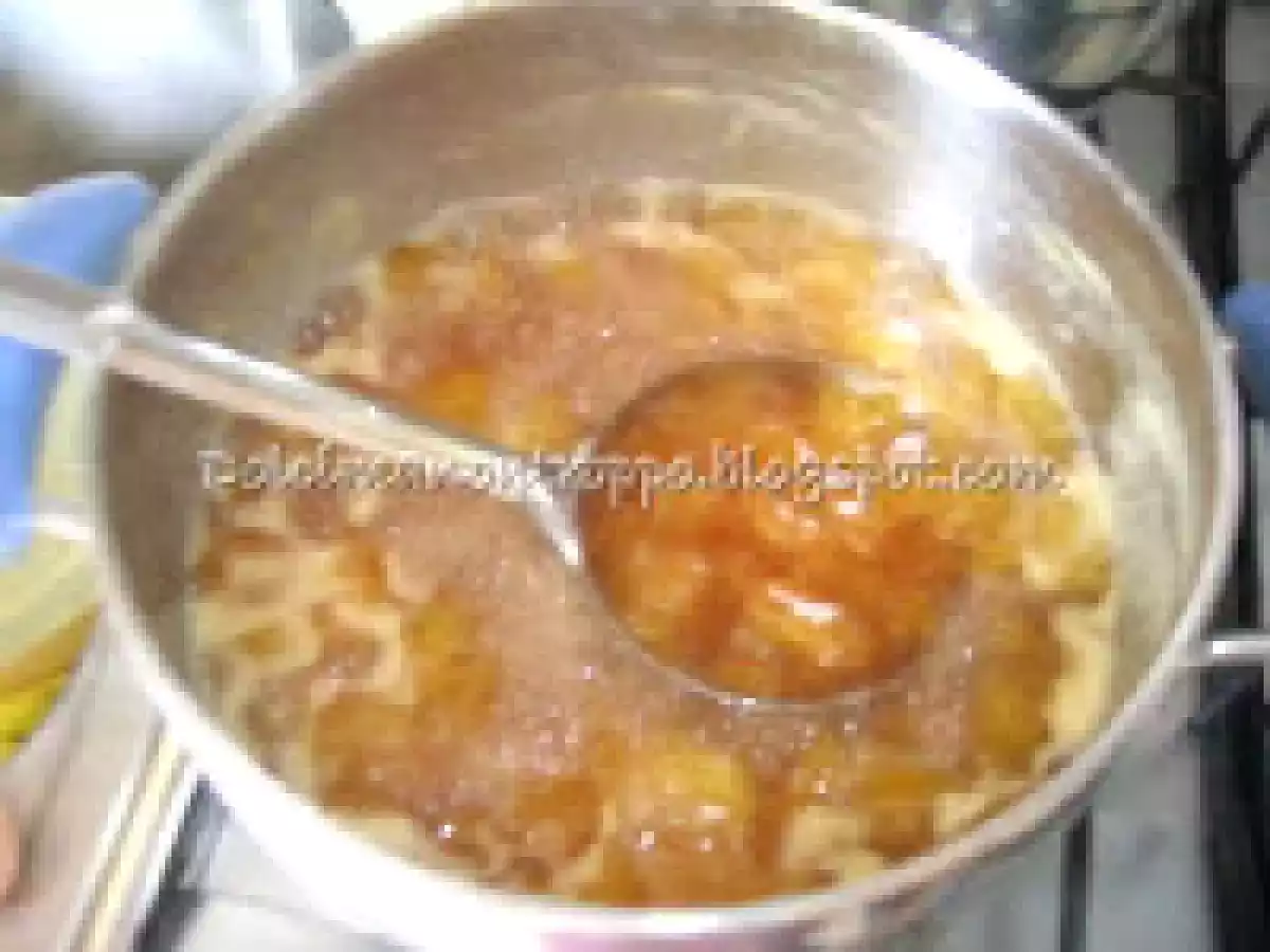 LA MIA MARMELLATA DI PRUGNE GOCCIA D'ORO - foto 3