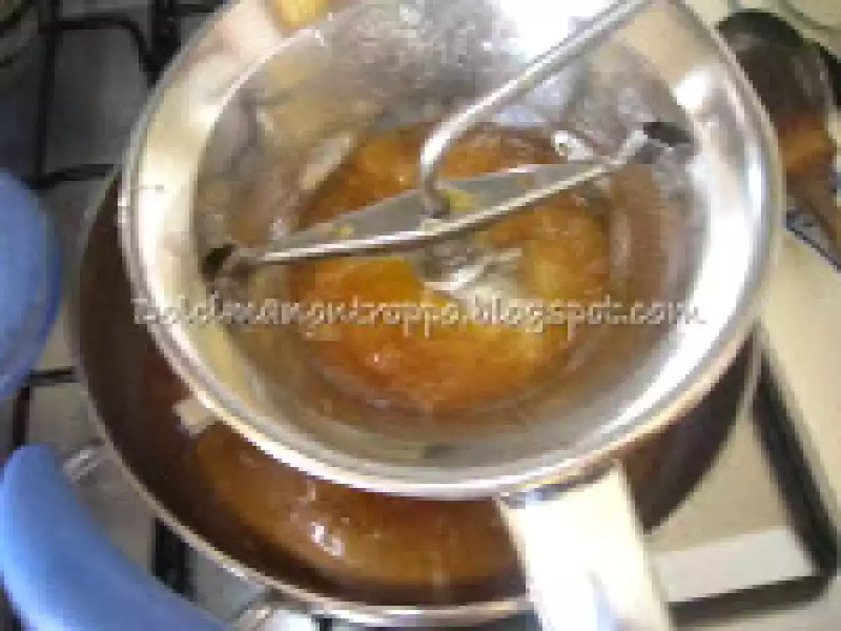 LA MIA MARMELLATA DI PRUGNE GOCCIA D'ORO - foto 4