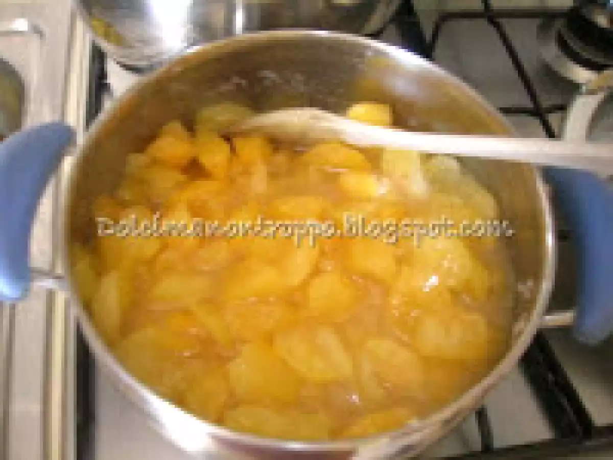 LA MIA MARMELLATA DI PRUGNE GOCCIA D'ORO - foto 5