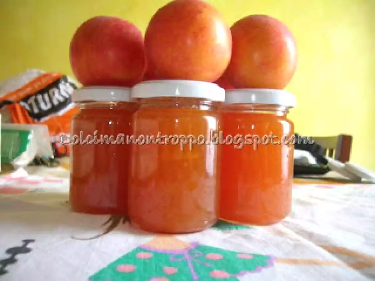 LA MIA MARMELLATA DI PRUGNE GOCCIA D'ORO - foto 9