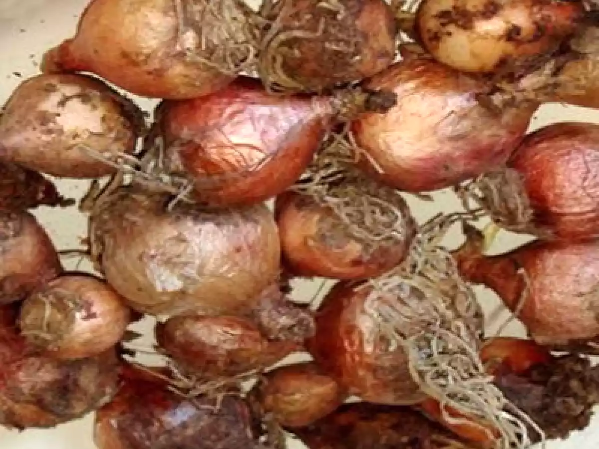 Lampascioni con le uova - foto 5