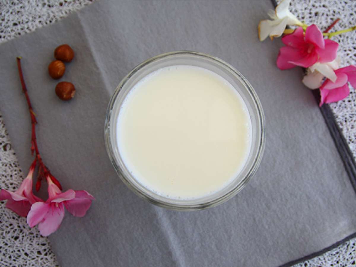 Latte Di Mandorla Fatto In Casa Senza Zucchero