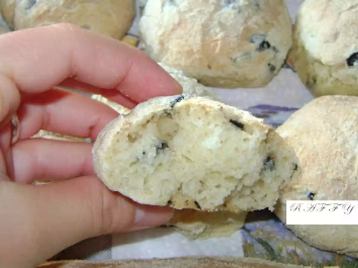 LE VERE PUCCE SALENTINE ALLE ULIE (OLIVE) - foto 3