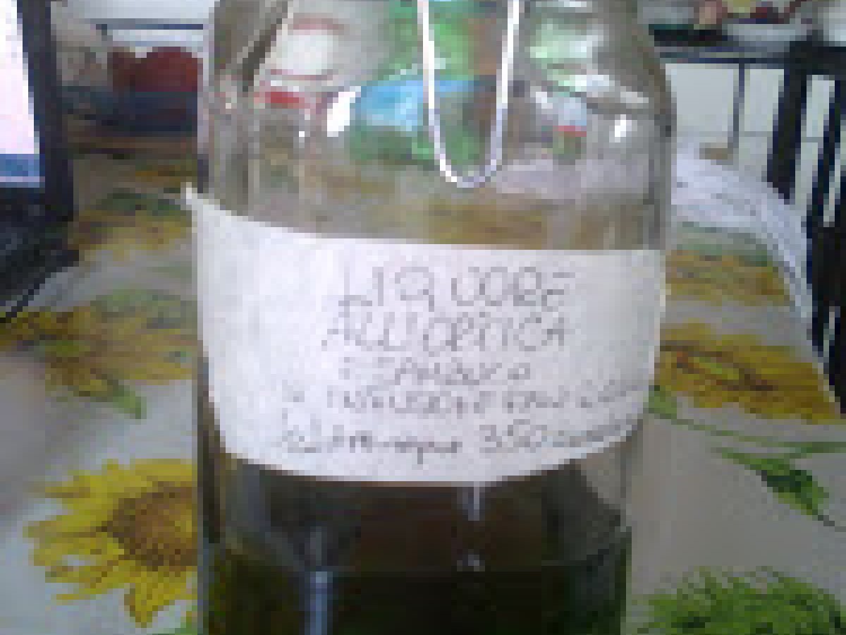 LIQUORE ALL'ORTICA - foto 2