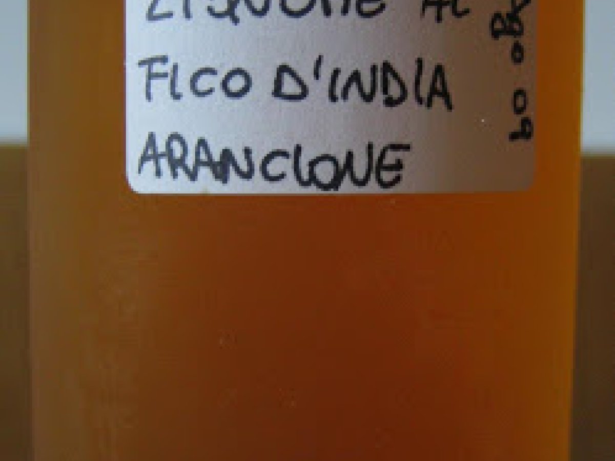 LIQUORE DI FICHI D'INDIA - foto 3