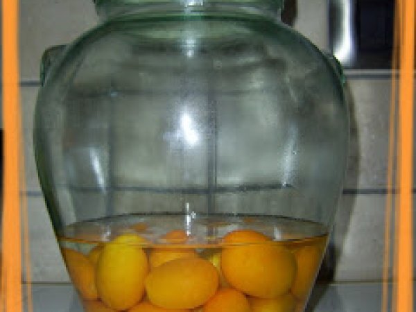 LIQUORE DI KUMQUAT (mandarini cinesi) & KUMQUAT SOTTO SPIRITO