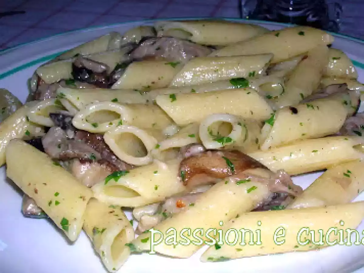 MACROLEPIOTA PROCERA