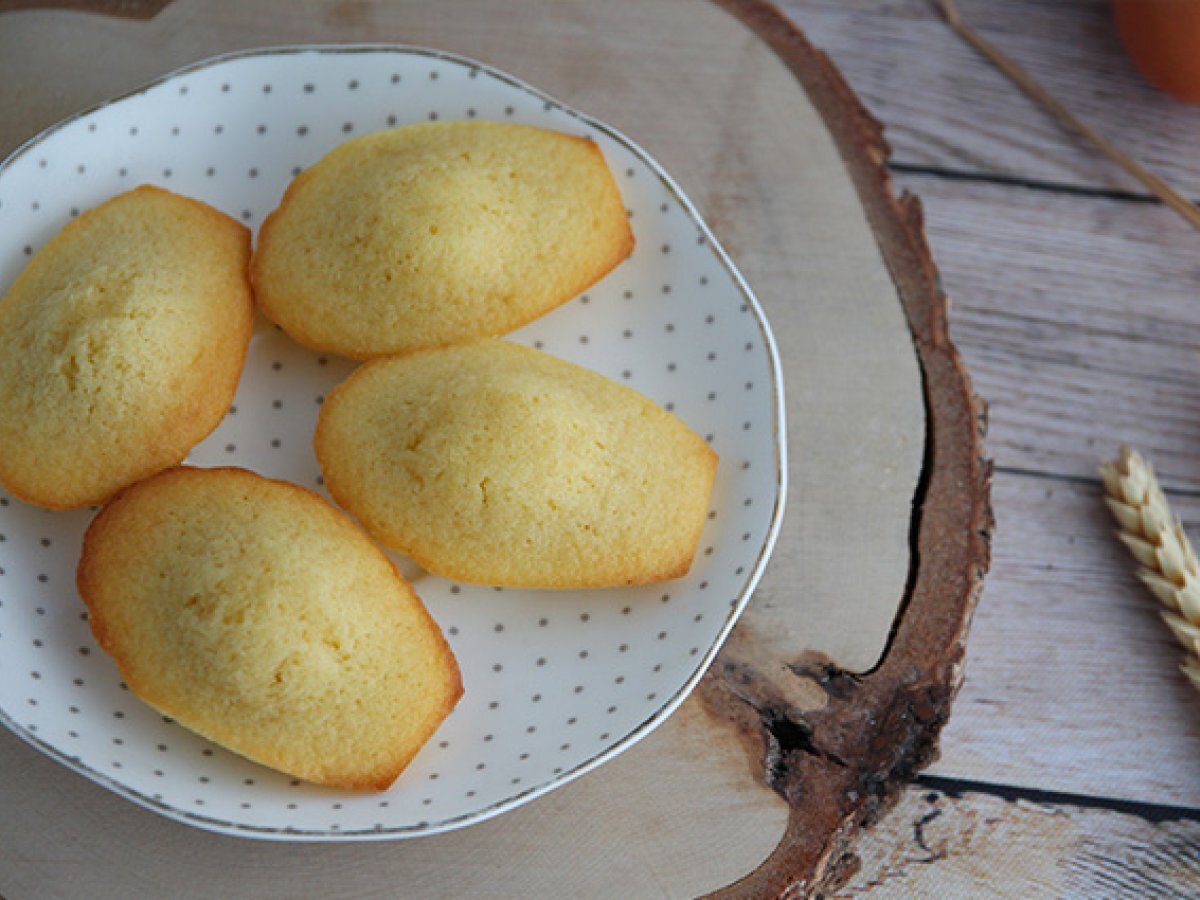 Madeleine - Ricetta originale francese - foto 6