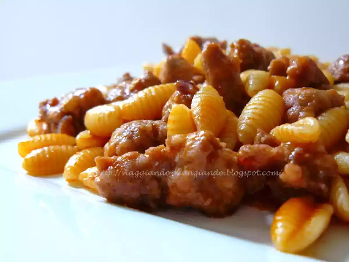 MALLOREDDUS CON SALSICCIA - foto 2