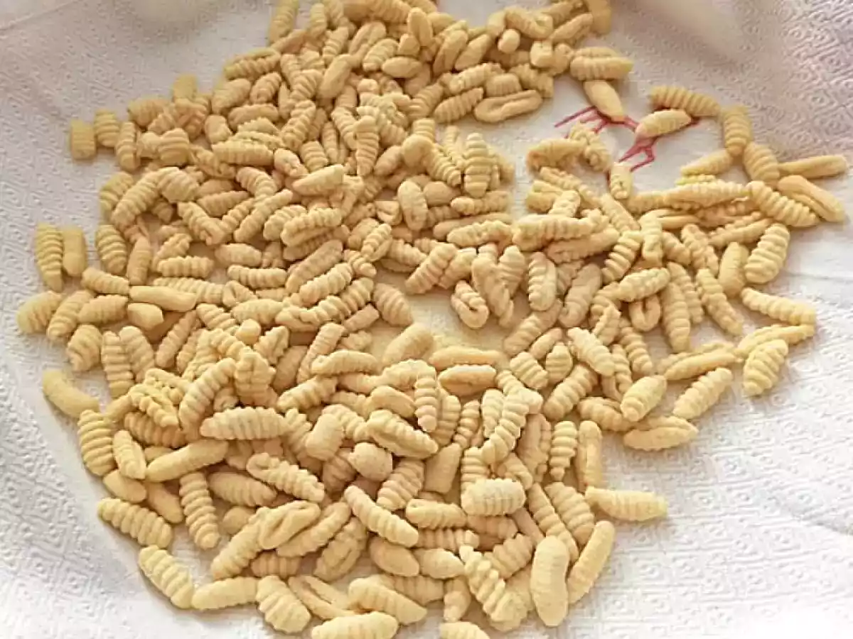 Malloreddus o Gnocchetti Sardi