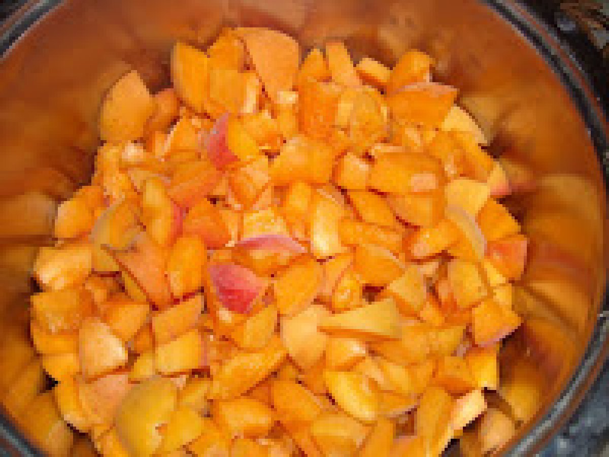 MARMELLATA DI ALBICOCCHE SENAPATA E NON... - apricots jam with mustard and not... - foto 8