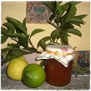 Marmellata di limoni e mela