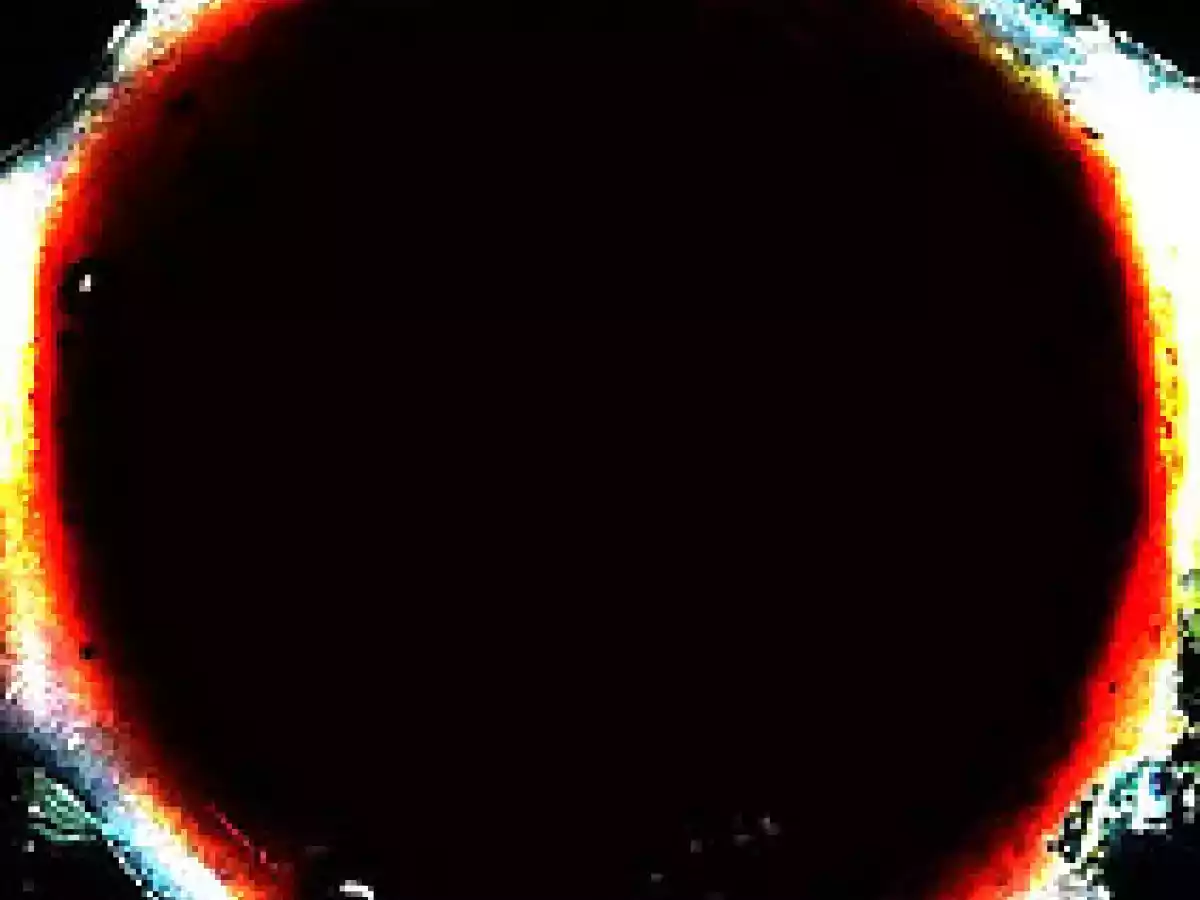 Marmellata di susine e cannella - foto 4