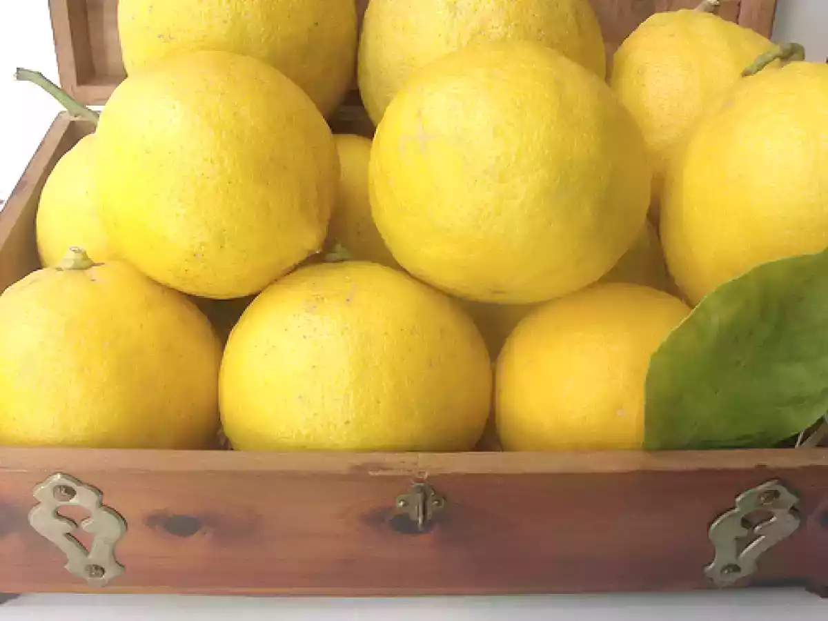 Marmellata e Scorze candite di bergamotto - foto 3