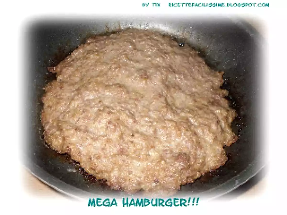 MEGA HAMBURGER !