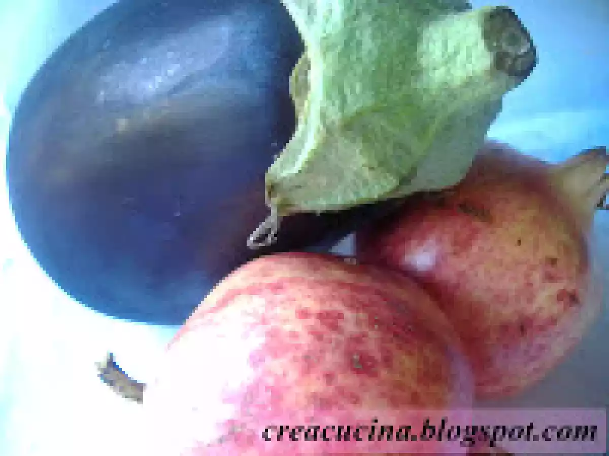 MELANZANE GRIGLIATE CON MELOGRANO E MENTA - foto 4