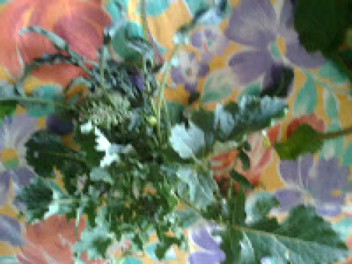 Menestra 'asciatizza sfritta - foto 2