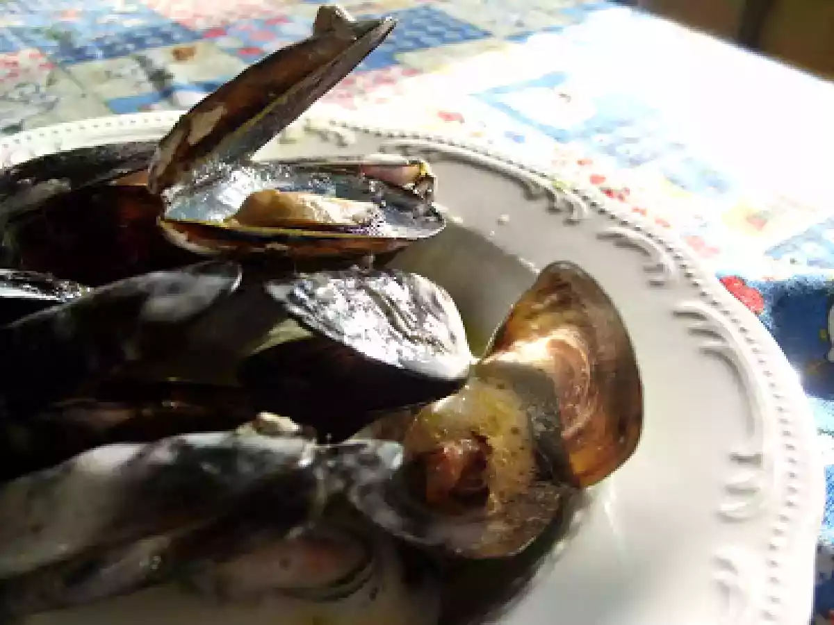 Moules à la crème