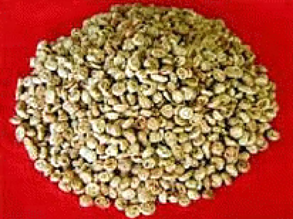 Nocciolini di Chivasso