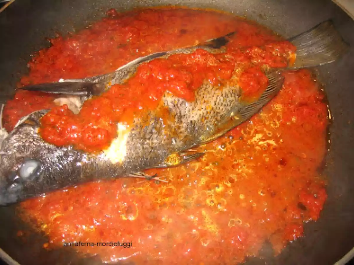 OMBRINA AL POMODORO (IN FAMIGLIA DETTA ALLA LIVORNESE ) - foto 2