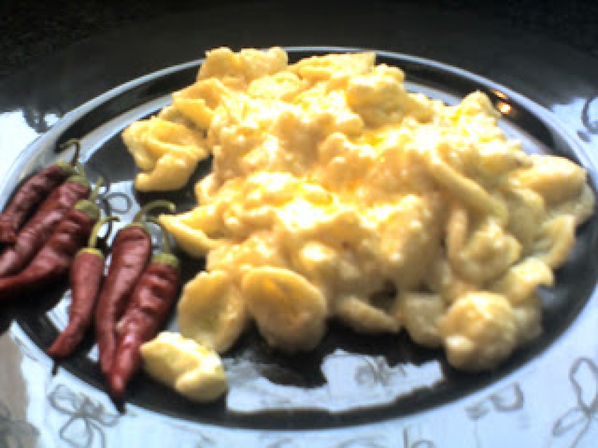 Orecchiette al cavolfiore e patate, foto 1
