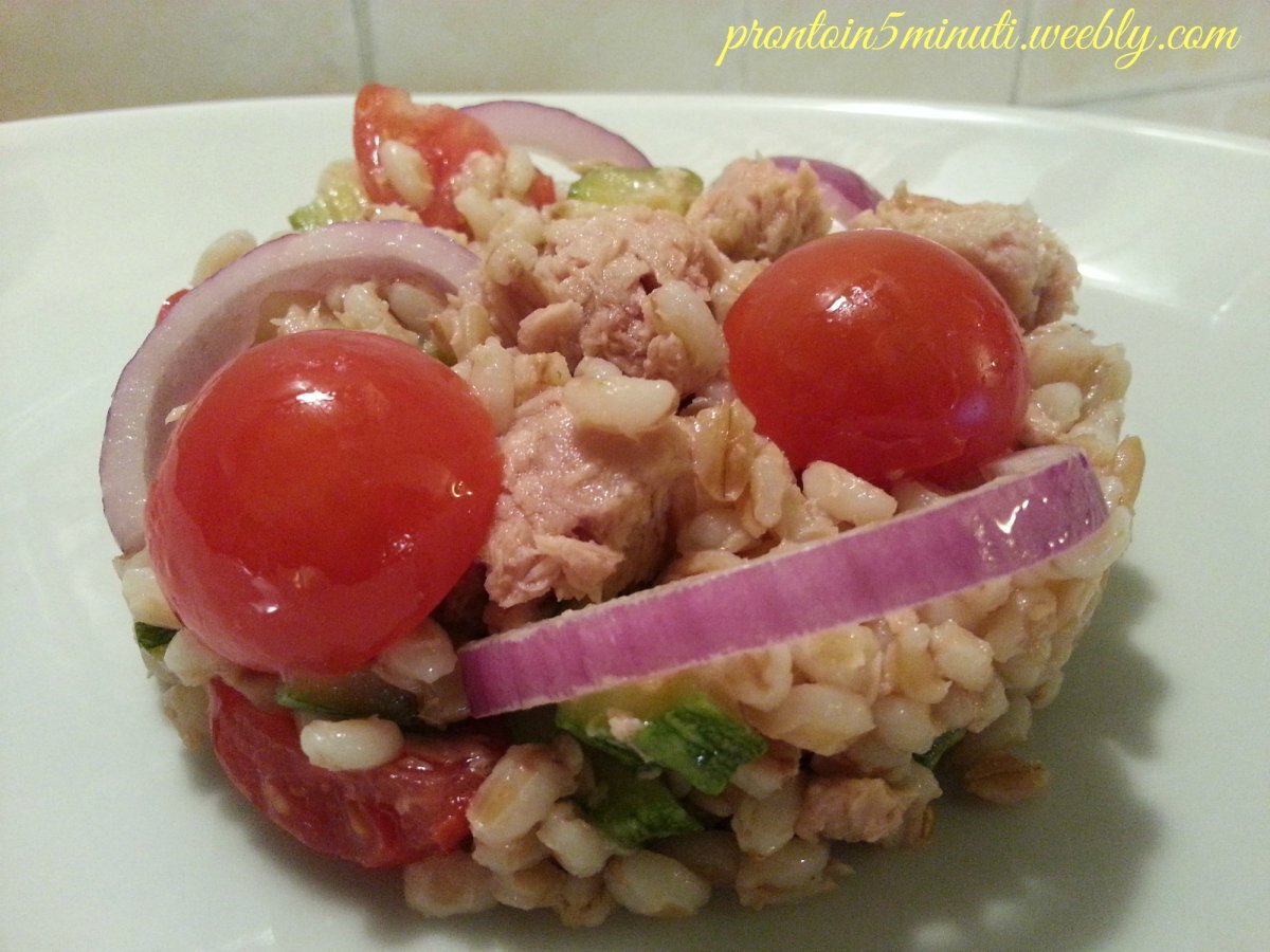 Orzo con Zucchine Tonno e Cipolle di Tropea