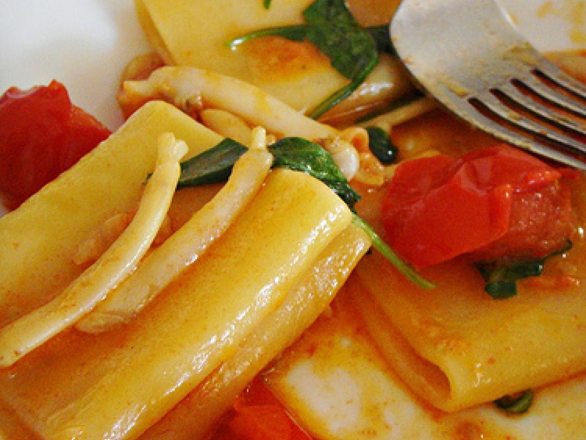 Paccheri al sugo di cannolicchi