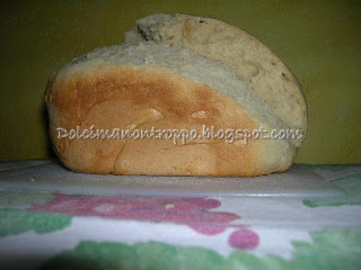 PAGNOTTELLA DI PANE BIANCO