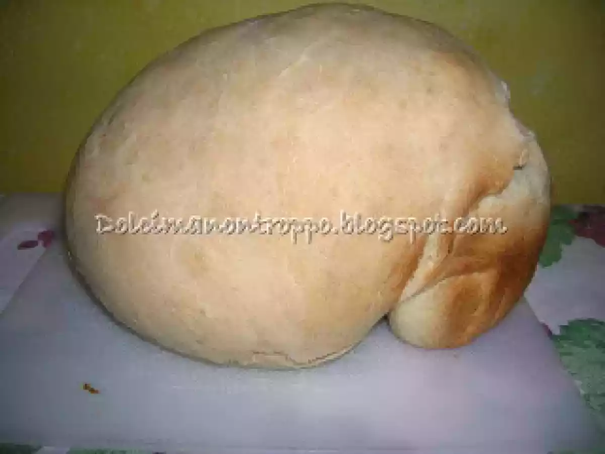 PAGNOTTELLA DI PANE BIANCO - foto 2