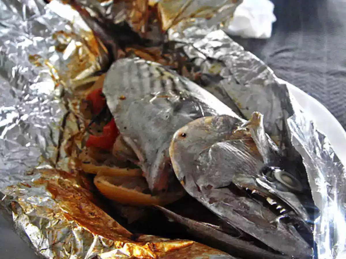 Palamita (tonnetto) al cartoccio