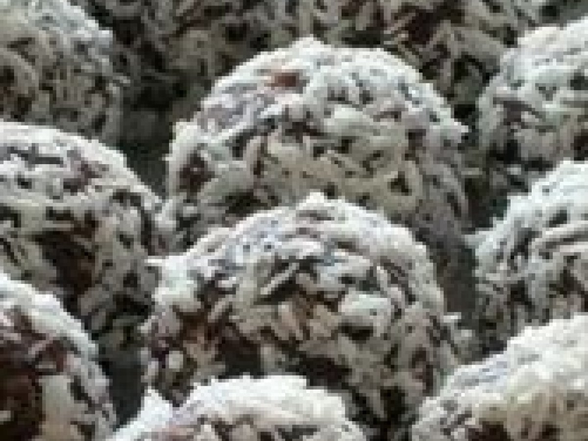 Palline di cocco