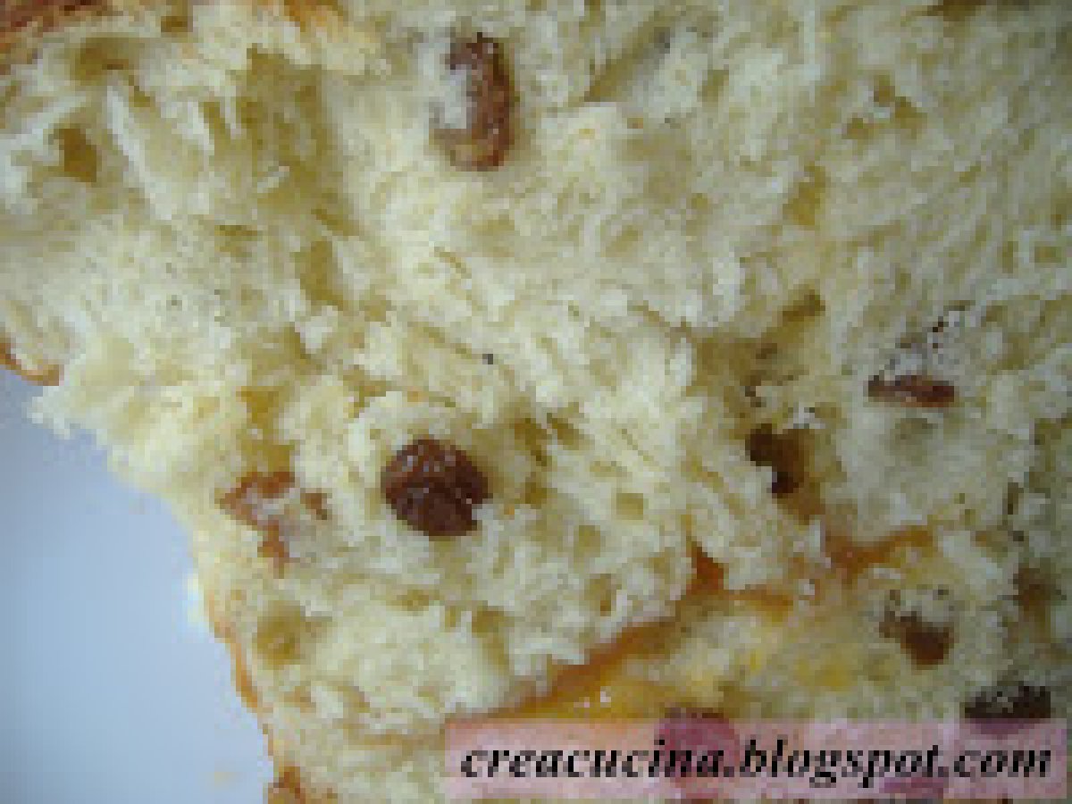 PAN BRIOCHE ALL'UVETTA - foto 6