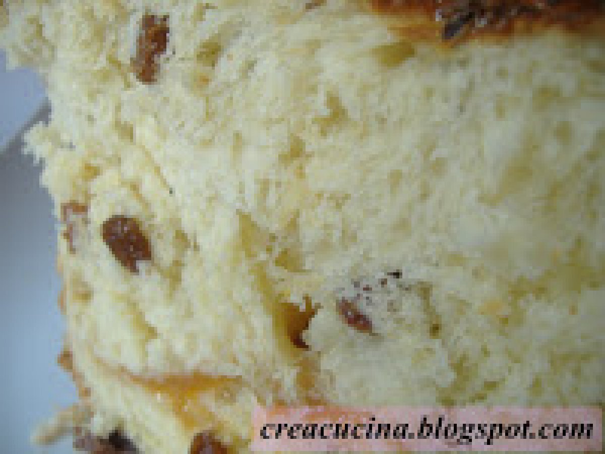 PAN BRIOCHE ALL'UVETTA - foto 8