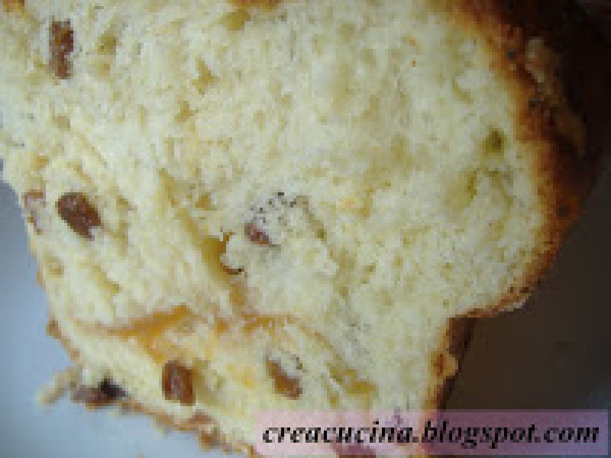 PAN BRIOCHE ALL'UVETTA - foto 9