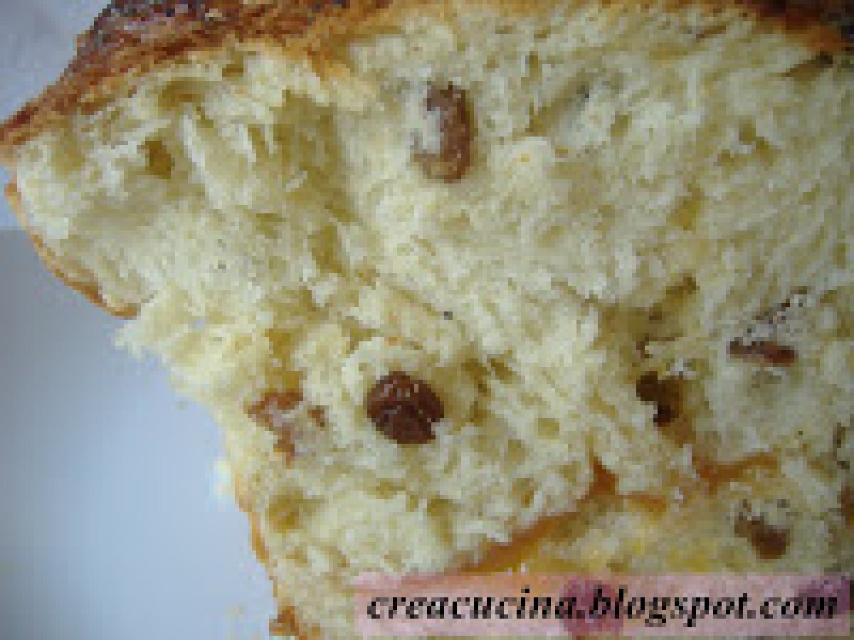 PAN BRIOCHE ALL'UVETTA - foto 10