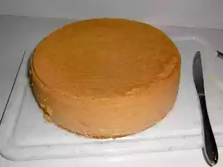 Pan di spagna alla frutta secca