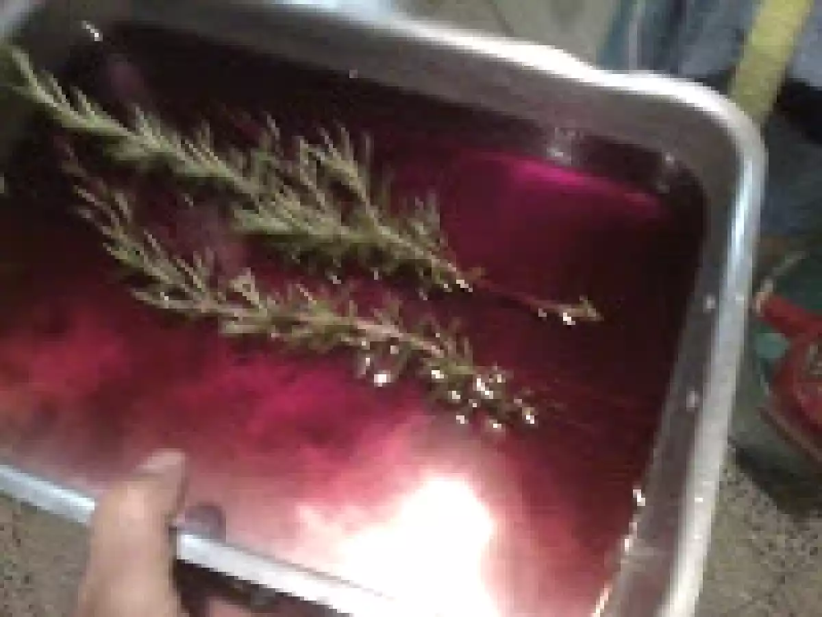 Pancetta Porchettata - foto 5