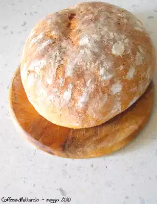 Pane al germe di grano