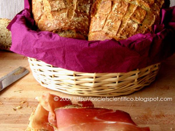 Pane all'Avena