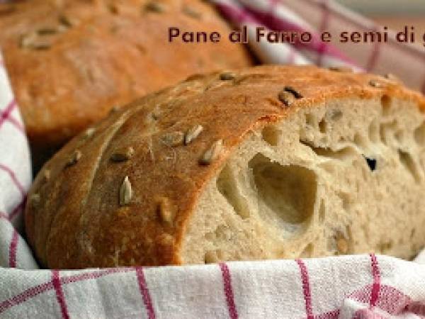 Pane alla farina di farro e semi di girasole